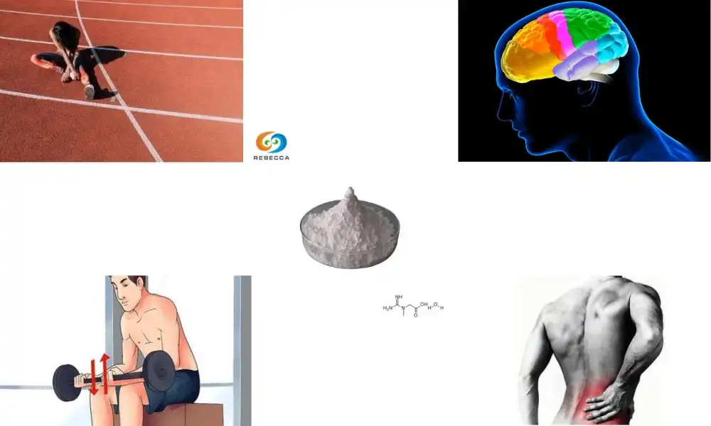 Is Micronized Creatine Better Than Regular Powder?